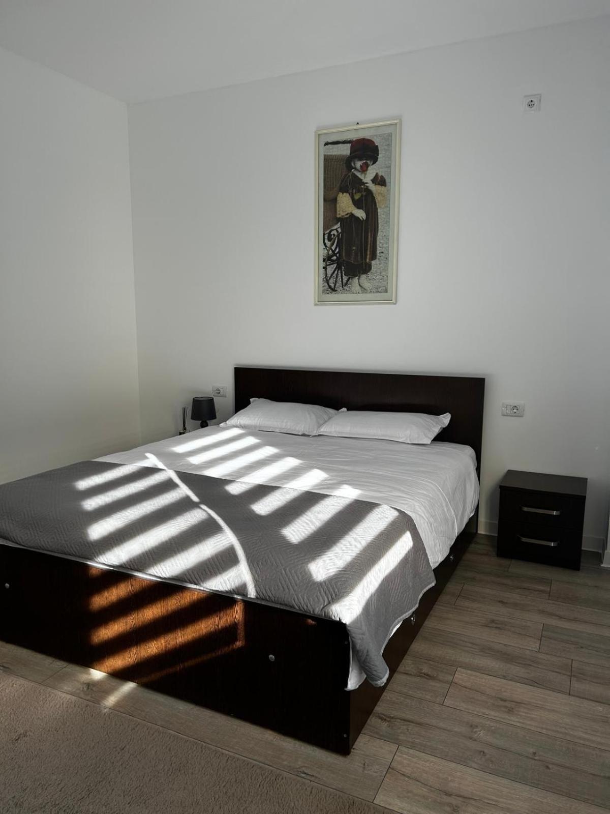K&K Apartements Craiova Extérieur photo